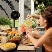 Shark FlexBreeze Misting Fan