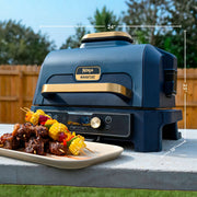 Ninja Woodfire XL Grill and Slushie Machine Bundle