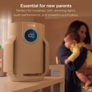 Shark NeverChange™ Compact Air Purifier Bundle