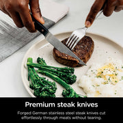 Ninja NeverDull® 17-Piece Premium Knife System
