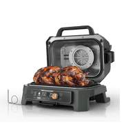 Ninja Woodfire Premium XL BBQ Grill in Green and Gold