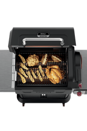 Ninja™ FlexFlame™ Grill and Smoker in Green
