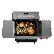 Ninja™ FlexFlame™ Grill and Smoker in Green