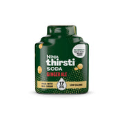 Ginger Ale Low-Calorie Soda 1-Pack